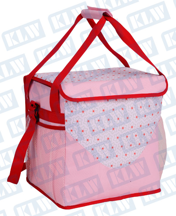 KF1017